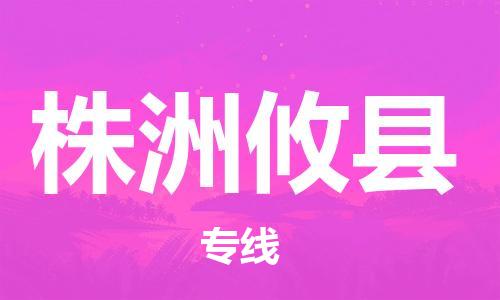 邯鄲到株洲攸縣物流專(zhuān)線(xiàn)-物流專(zhuān)線(xiàn)快速直達(dá)-市縣閃送